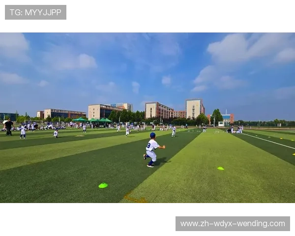 青少年棒球培训体系的建设与改进方向